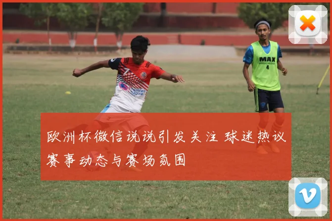 欧洲杯微信说说引发关注 球迷热议赛事动态与赛场氛围