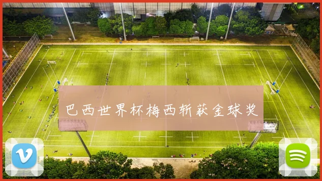 巴西世界杯梅西斩获金球奖