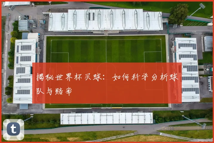 揭秘世界杯买球:如何科学分析球队与赔率