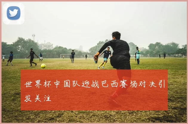 世界杯中国队迎战巴西赛场对决引发关注
