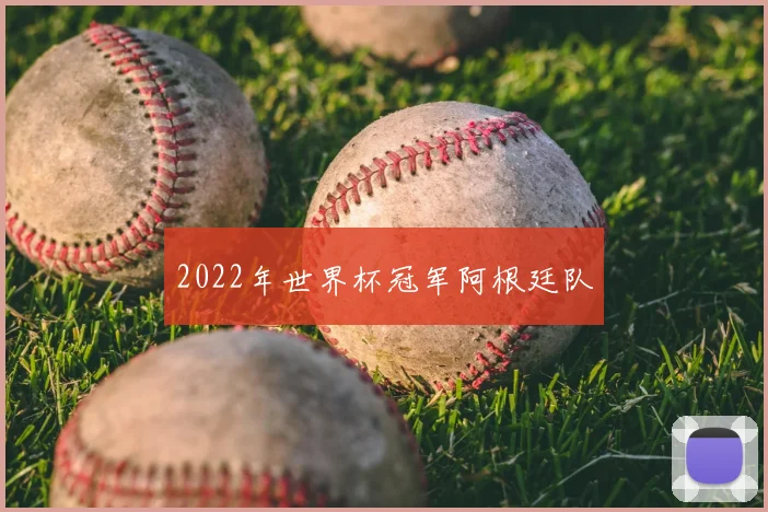 2022年世界杯冠军阿根廷队