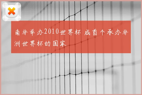 南非举办2010世界杯 成首个承办非洲世界杯的国家